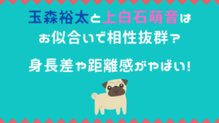 玉森裕太が歌わないのは歌下手だから 歌うまいのか歌声や歌唱力を調査 たかはぴ家